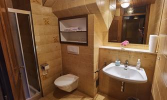 A small bathroom with tiled walls and a sink. There is a shower and a toilet in a cozy atmosphere.