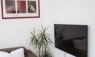 A cozy living room with a television on the wall and a plant in the corner. Above the sofa hangs a piece of art with abstract motifs.