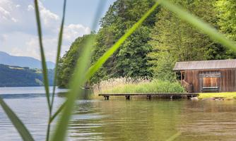A quiet lake surrounded by trees and shrubs. In the foreground, grasses are visible, and a wooden house stands by the shore.