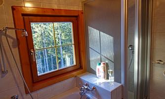 A bathroom with a bathtub and a shower. Daylight is shining through the window and there are trees visible in the background.