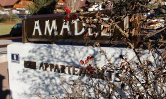 A sign with the inscription "Amadee Appartements" in front of a picturesque backdrop. In the foreground, branches with red berries are visible.