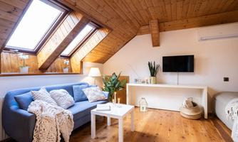 A cozy living room in the attic with a wooden ceiling and large skylights. The room is decorated with a blue sofa, a white table, and plants.
