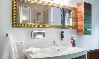 A modern bathroom with an elegant sink and a large mirror. A decorative plant adds a fresh accent to the room.
