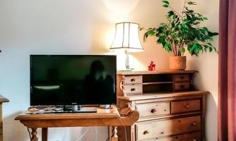 A cozy living room with a television on a wooden table and a chest of drawers. A lamp and a plant provide a relaxing atmosphere.