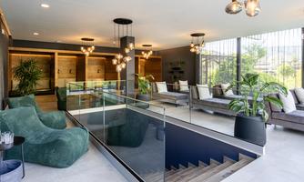 A modern living room with comfortable seating and large windows.  
Green plants give the space a fresh touch.
