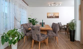 A modern dining room with a wooden table and six chairs. Potted plants and a bright color scheme create an inviting atmosphere.