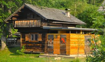 A pretty wooden house surrounded by trees and green grass. The facade is partially made of light wood and has a rustic appearance.