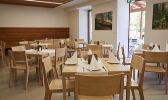 A bright restaurant with wooden chairs and tables. The decor is simple and modern, with a view of a garden through large windows.