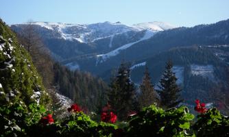 A picturesque mountain landscape with snow-capped peaks and green forests in the foreground. Blooming geraniums provide a colorful accent.