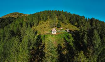 A picturesque mountain landscape with dense forests and two cabins. The clear blue sky completes the tranquil scene.