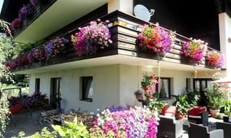 A beautiful building with blooming plants and colorful flower boxes. The area is bright and inviting, with furniture for relaxing outdoors.