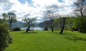 A green meadow with some trees and a view of a calm lake. In the background, gentle hills and a cloudy sky can be seen.