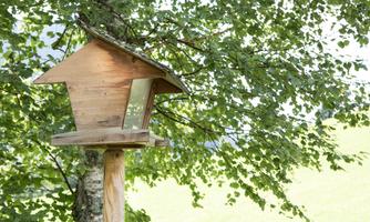 A pretty birdhouse made of wood stands by a tree. The surroundings are green and lively.