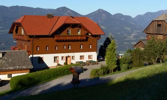 A traditional alpine house surrounded by green landscape. In the background are mountains and a clear sky.