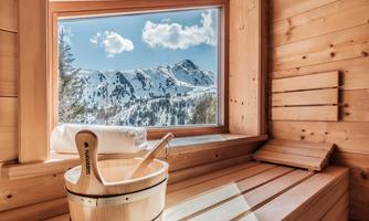 Chalet Typ Almsommer - Ausblick Panoramasauna