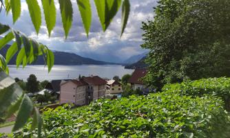 A view of a quiet lake with mountains in the background. Green plants and houses frame the scene.