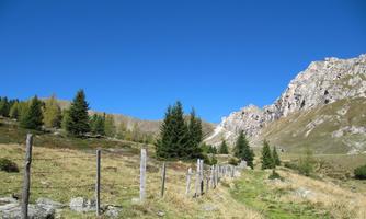 An idyllic mountain landscape with green meadows and coniferous trees. The radiant blue sky complements the impressive rocks in the background.