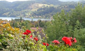 A beautiful view of a lake with hills in the background. Colorful flowers in the foreground give the landscape a vibrant touch.