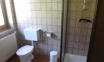 A bathroom with a toilet and a shower. The walls are tiled and a window lets in daylight.