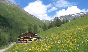 A picturesque alpine meadow surrounded by green mountains and colorful wildflowers. In the foreground stands a rustic wooden house with parasols.