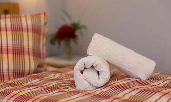 A cozy bed with plaid bedding and folded towels. In the background, a plant with red flowers can be seen.
