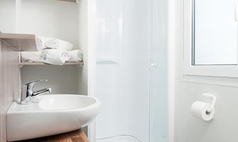 A modern bathroom with a shower, a sink, and a toilet. There are white towels and a plant on the shelf.