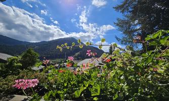 A flower landscape with colorful blooms in the foreground. In the background, mountains and a blue sky are visible.
