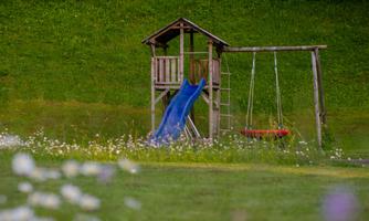 A playground with a slide and a swing in a green meadow. Flowers in bright colors grow all around.