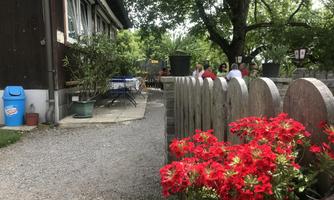 A pretty garden path with colorful red flowers and a wooden fence. In the background, you can see a cozy seating area and trees.