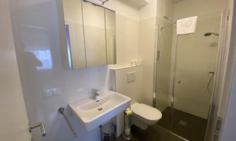 A modern bathroom with a shower, a sink, and a toilet. The room is bright and functionally designed.