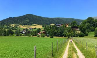 A sunny path winds through green meadows and fields. In the background, gentle hills and traditional houses can be seen.