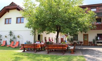 A beautiful house with a large garden and a shady tree. In the foreground, people are sitting at a cozy wooden table.