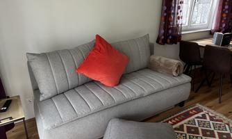 A cozy living room with a gray sofa and a red cushion. An oriental-style rug lies on the wooden floor.