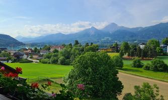 A picturesque landscape with mountains in the background and lush green fields. In the foreground, blooming plants and trees can be seen.