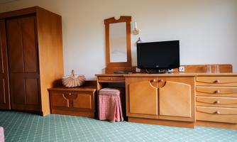 A simple room with wooden furniture, a television, and a mirror. The floor is covered with green tiles.