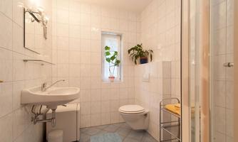 A bright bathroom with white tiles and a shower. There is a sink, a toilet, and a plant by the window.