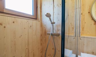 A modern shower in a wood-paneled bathroom. Daylight filters in through a window.