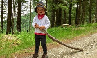 A small child with a hat stands on a path in the forest, holding a stick. In the background, trees and green meadows can be seen.
