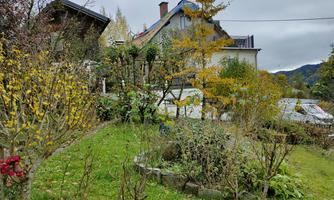A well-maintained garden with many plants and shrubs. In the background, a house and a cloudy sky can be seen.