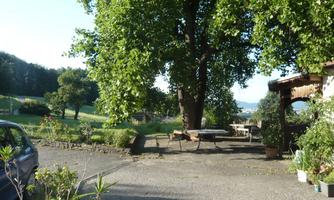A quiet garden with a large tree and a terrace. In the background, there are green meadows and a blue sky.