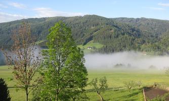 A tranquil landscape with gentle hills and green meadows. Fog hovers over the field, surrounded by trees.