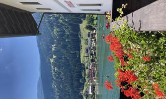 An idyllic lake with green hills in the background. In the foreground, red geraniums bloom on a balcony.