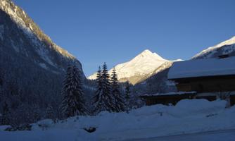 A wintry mountain view with snow-covered peaks and pine trees. The clear sky conveys a calm atmosphere.