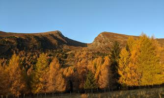 A picturesque mountain landscape with bright yellow trees. The clear blue sky complements the autumn scenery.