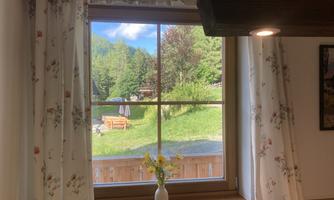 A window overlooking a green meadow and trees. On the windowsill, there is a small vase with fresh flowers.