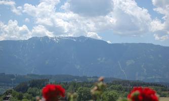 Endlich wieder alles grün! Blick auf das Goldeck