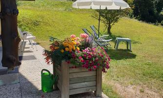A beautiful garden with colorful flowers in a wooden flower pot. In the background, there is a sunshade and a meadow with a small house.