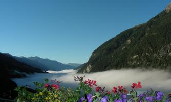 A picturesque mountain landscape with green hills and colorful flowers in the foreground. The sky is blue and there is mist in the valley.