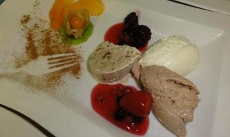 An attractively arranged dessert on a white plate. It consists of various ice cream flavors, fresh fruits, and a decorative cinnamon sketch.