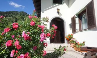 An inviting entrance to the house, surrounded by colorful roses. The atmosphere is friendly and casual, with a clear blue sky in the background.